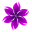 heathercannistraci.com favicon